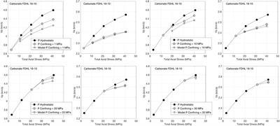 Vertical velocity at hydrostatic and anisotropic stresses